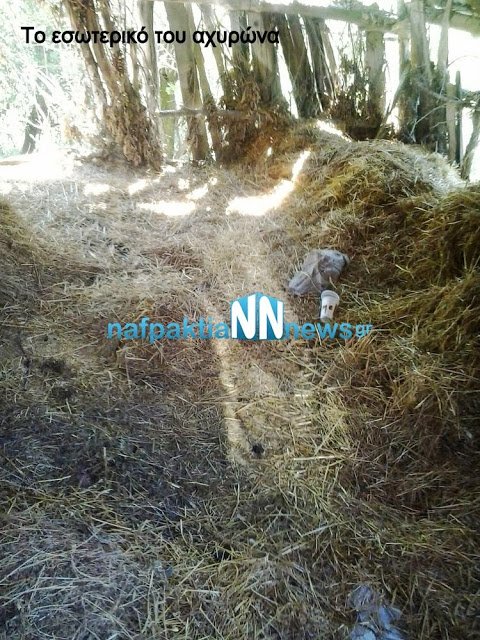 nafpaktia news (1)