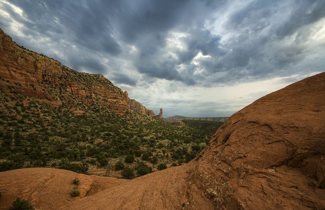 Arizona1