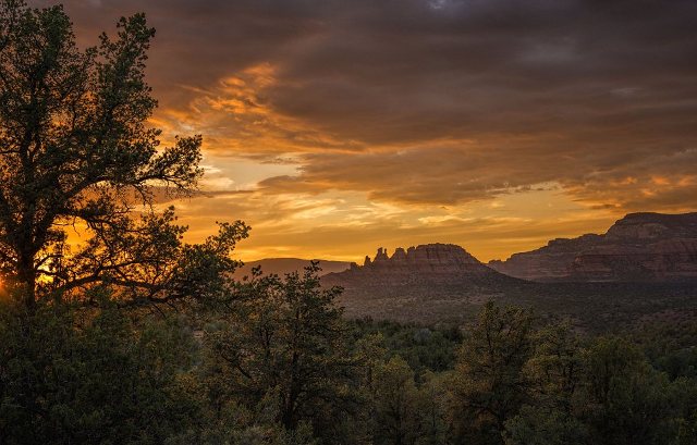 Arizona4