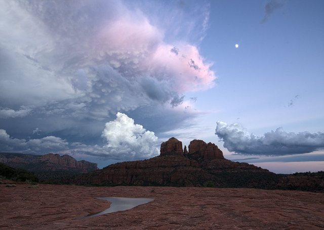 Arizona8