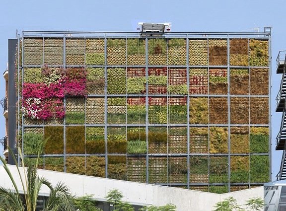 garden_1
