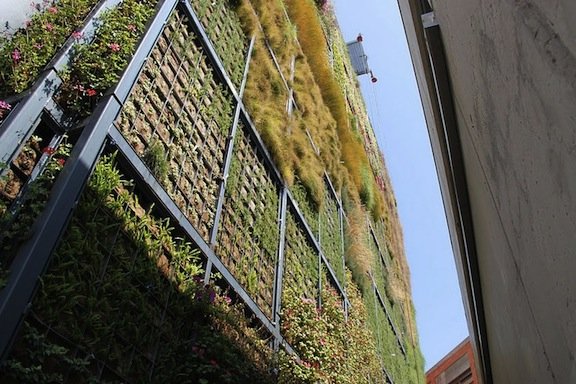 garden_2