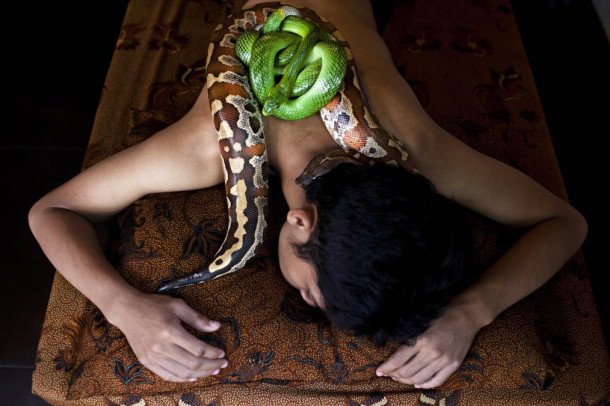 snakespa3