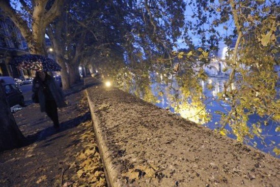 starlings-in-rome4-550x368