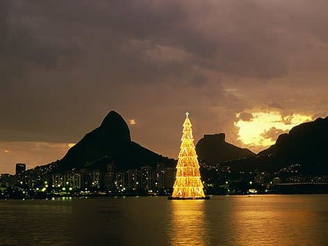 tree2_sea