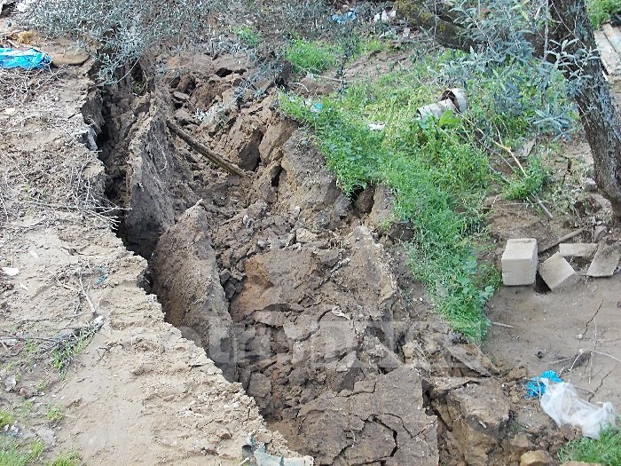 ileia-2_10032014115312