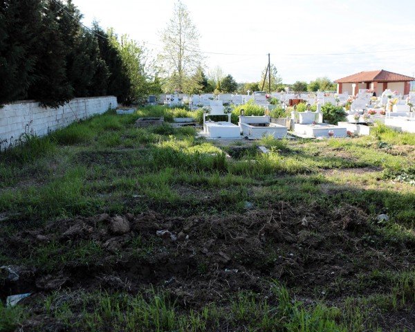 nekro1