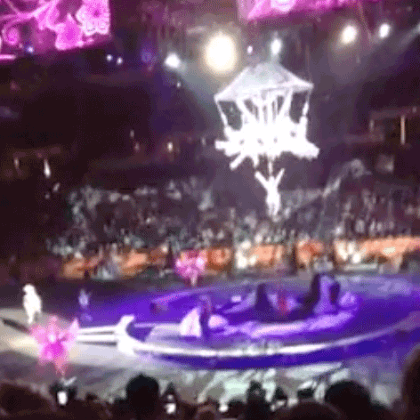 pp_square_ringlingcirusaccident