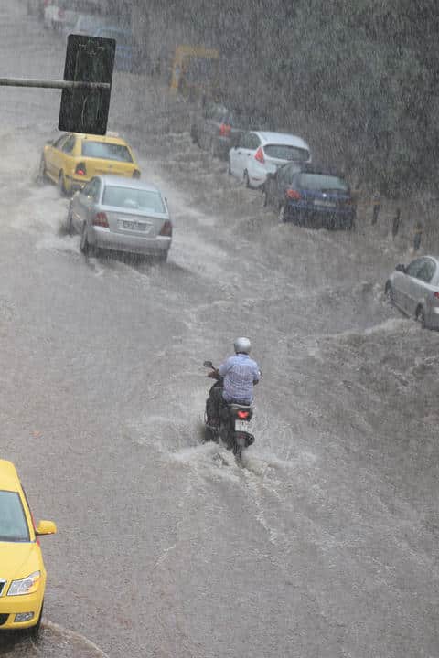 articleGal_30121_34640.w_hr