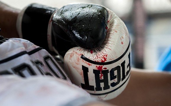 thai-gloves_2974469k_0