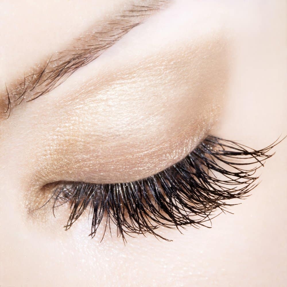 shutterstock_50402491