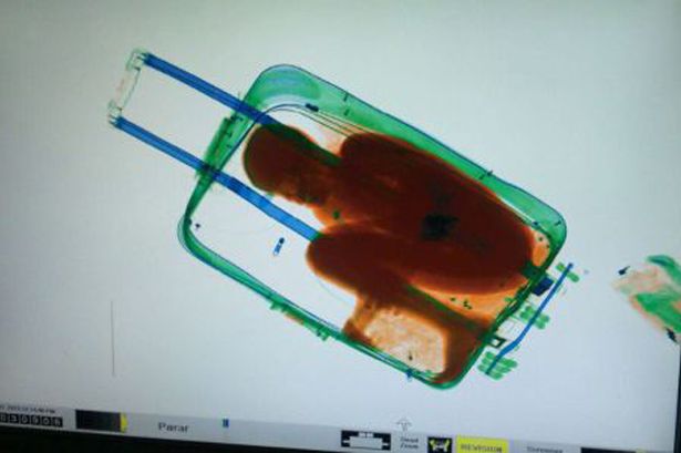 Boy-stashed-in-suitcase