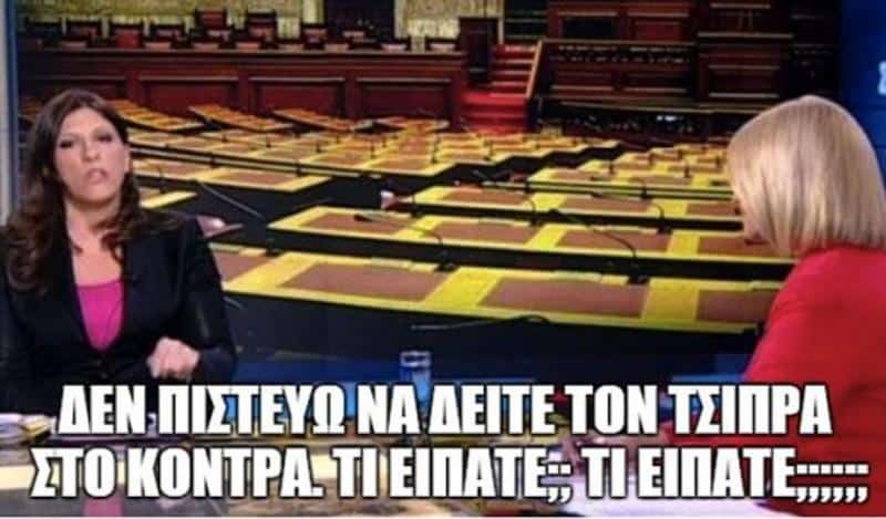 zoisia7