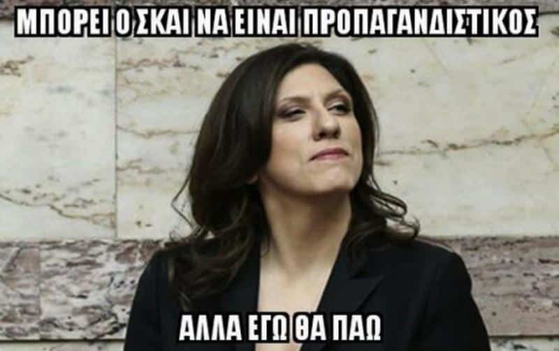 zoisia8