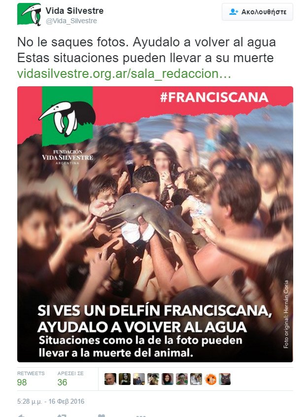 delfinaki2