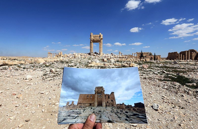 27palmyra copy