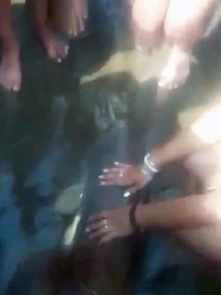 PAY DOLPHIN 1