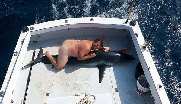 shark s