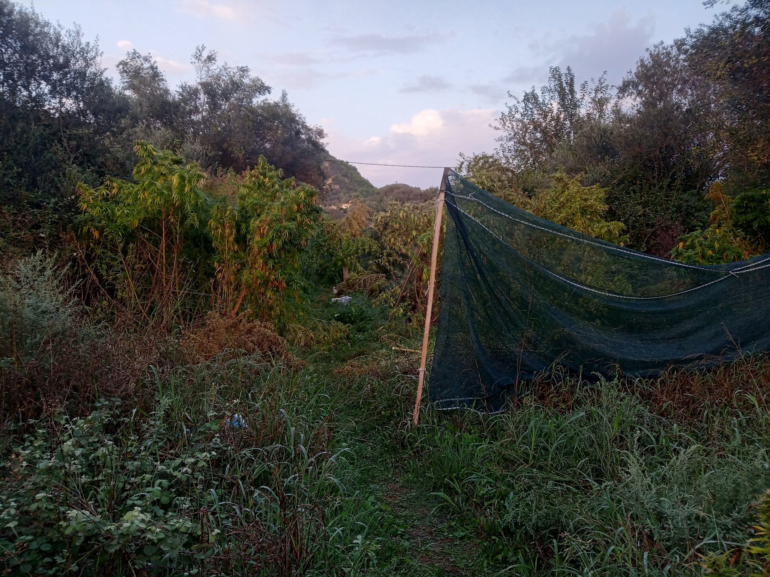 συνελήφθησαν