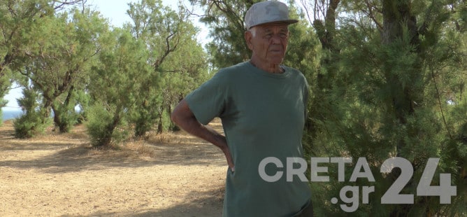 ζακέτα