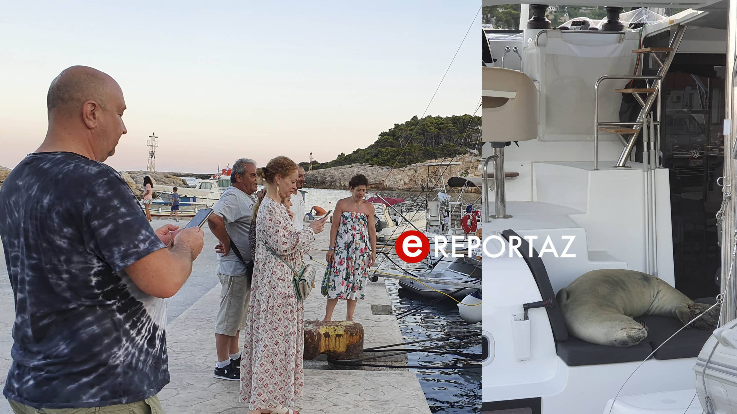 Κωστή