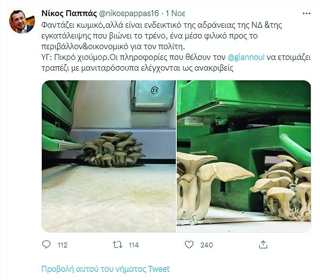 μανιτάρια