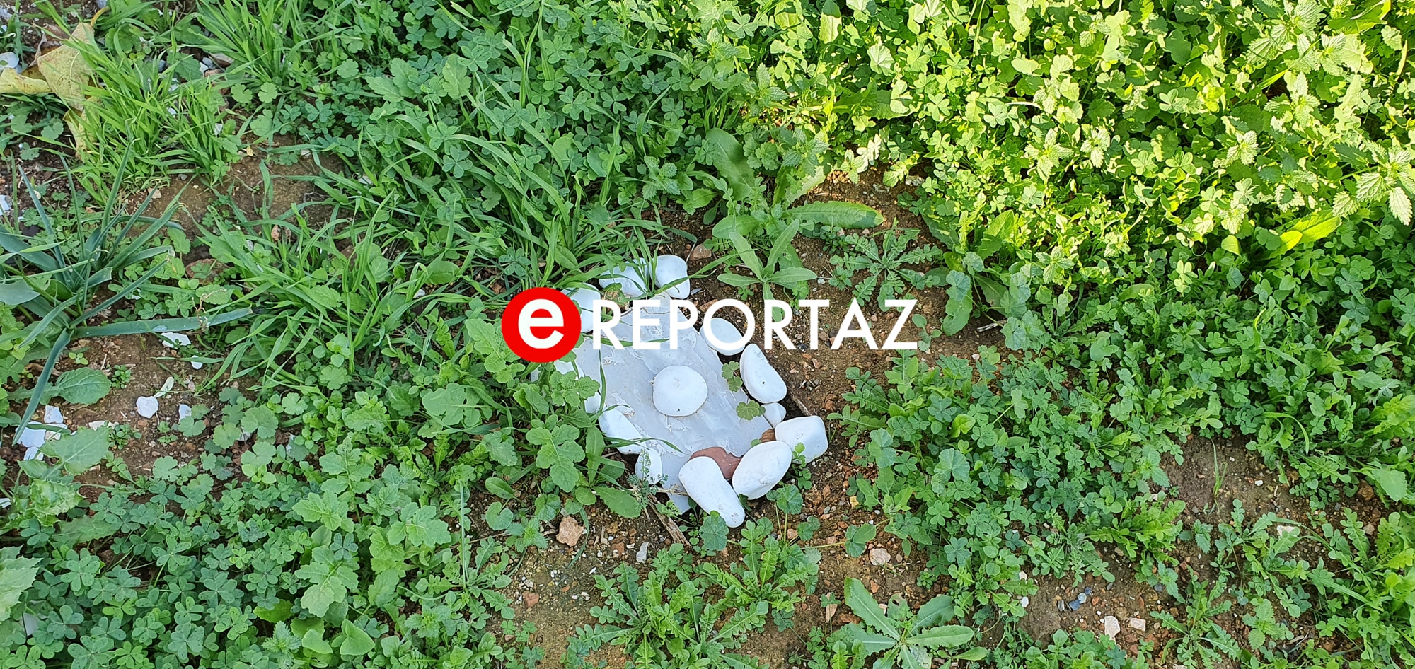 νεκροταφείο