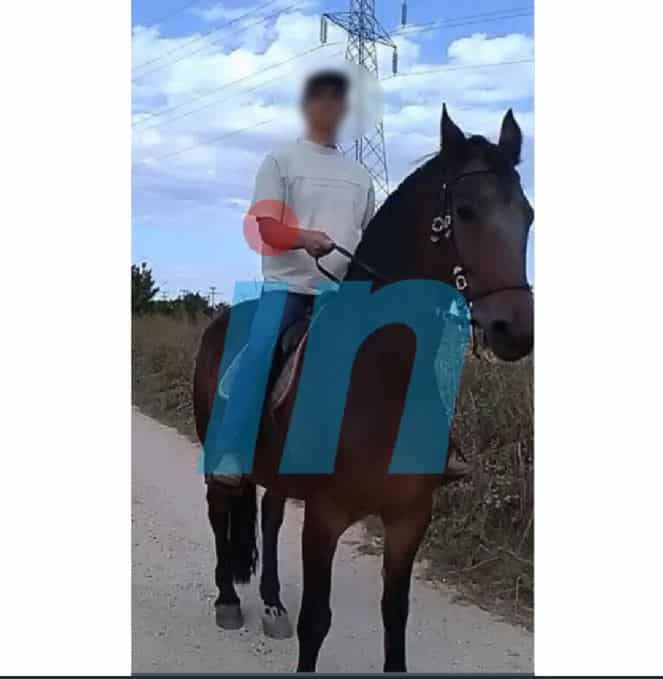 Ανδραβίδα