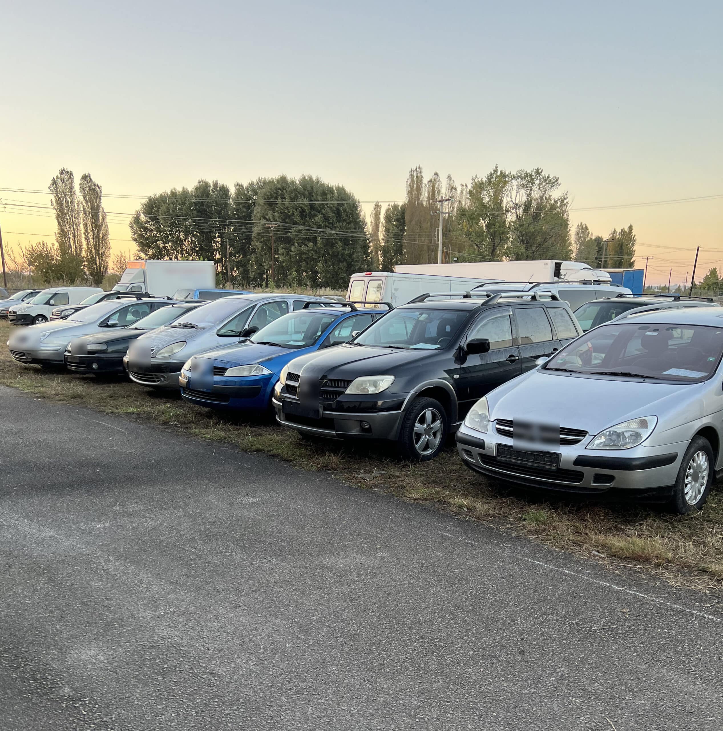 εγκληματική οργάνωση