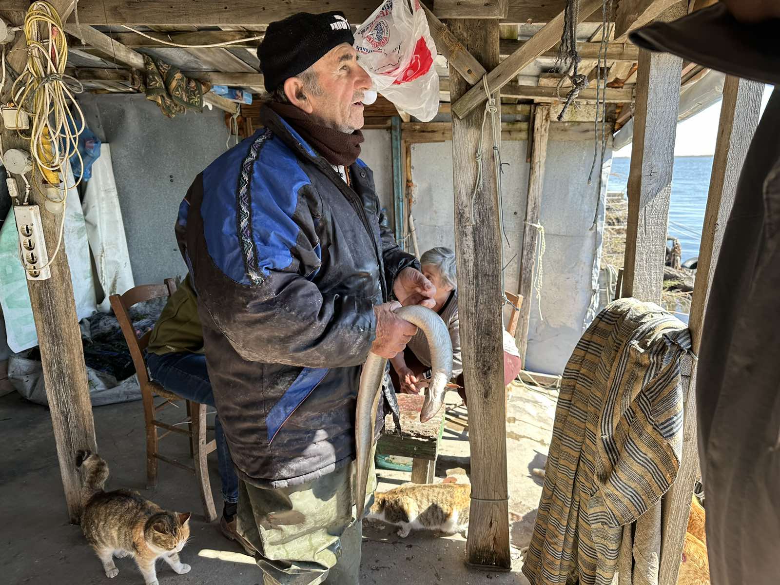 Παπακωστίδου