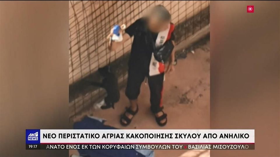 σκυλάκι