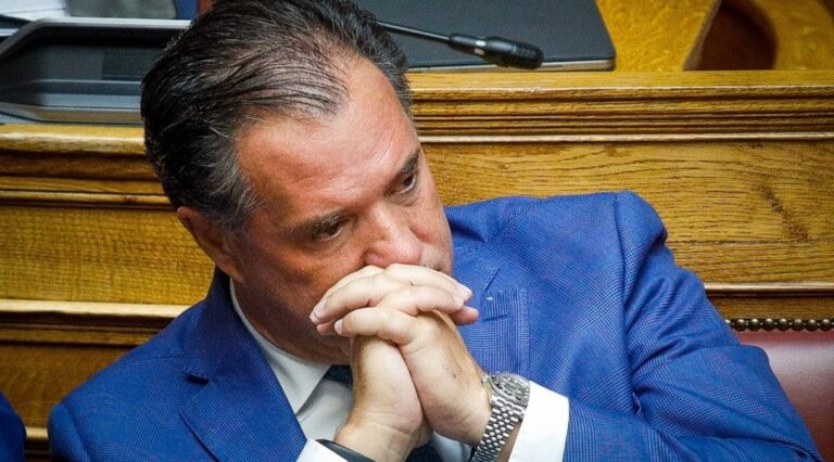Άδωνις Γεωργιάδης: «Η δήλωσή μου διαστρεβλώθηκε – Η ΝΔ θέλει διαλεύκανση της υπόθεσης των Τεμπών»
