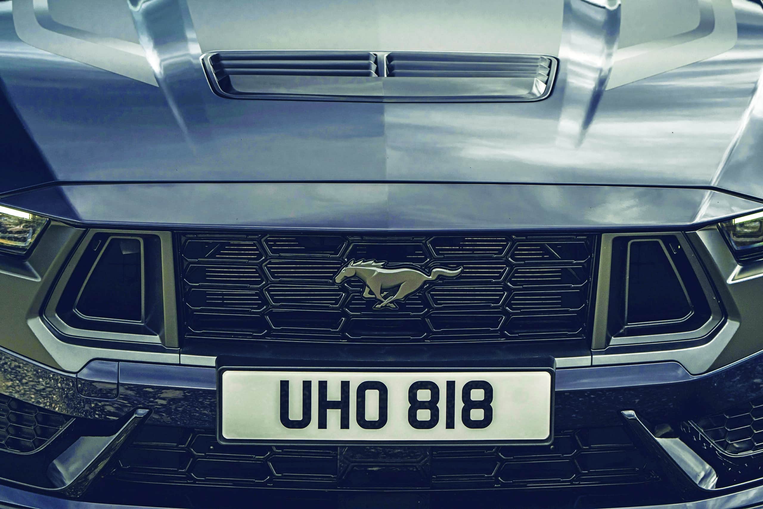 Mustang