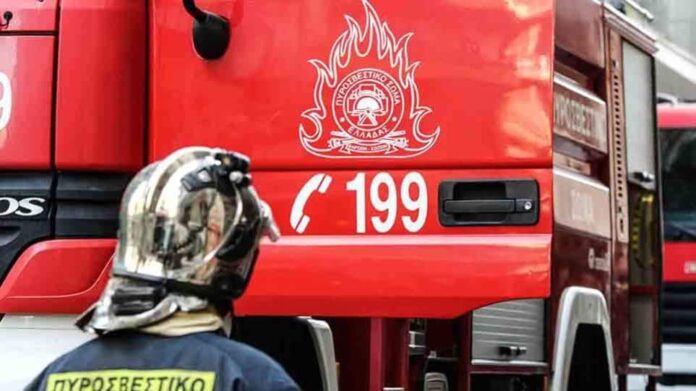 λαμπραντόρ