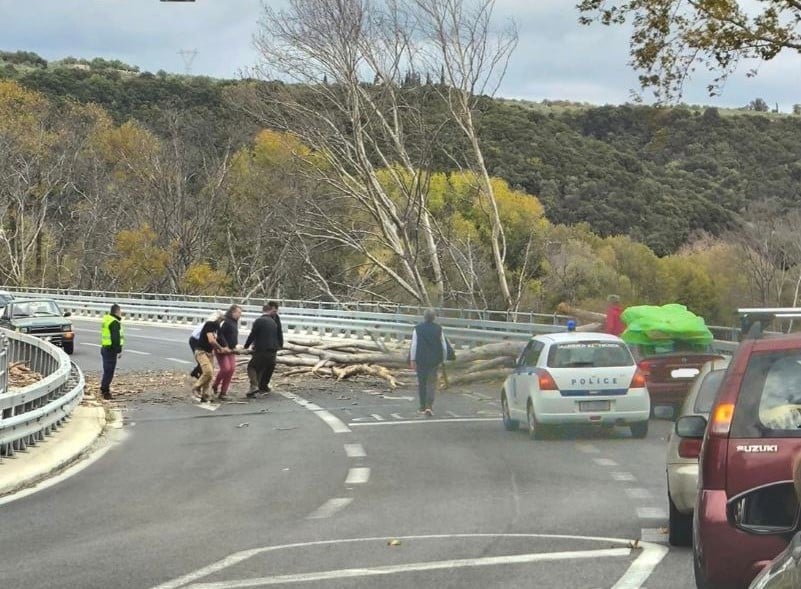 δέντρο