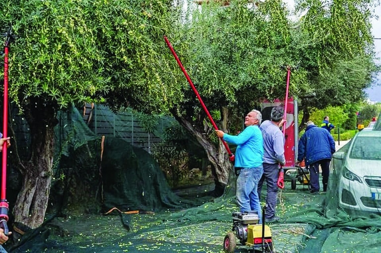 «Λάδι» για  τους δημότες…
