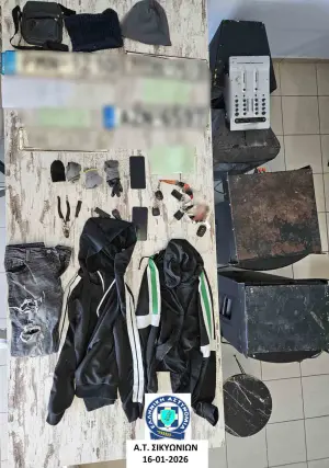 οργάνωση